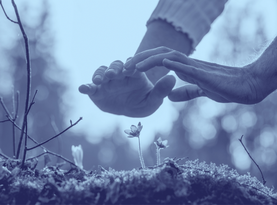 Nurturing Relationships